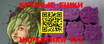 гидра Заводоуковск